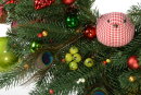 Christmas Wreath Caledonia elochka.com.ua