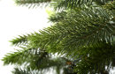 Искусственная елка с литыми ветками и ветками из пленки 